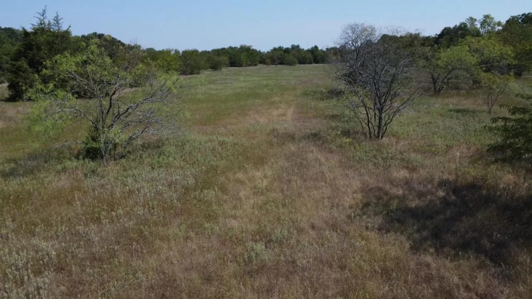 Tract 3 in Commerce, TX