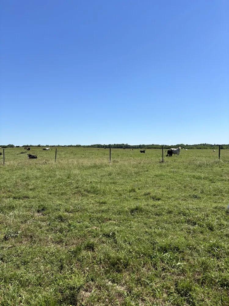 842.00 Acres at 1162 Sparks Road