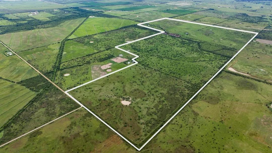 Rice Rd, Cat Spring - 658 Acres, Colorado County