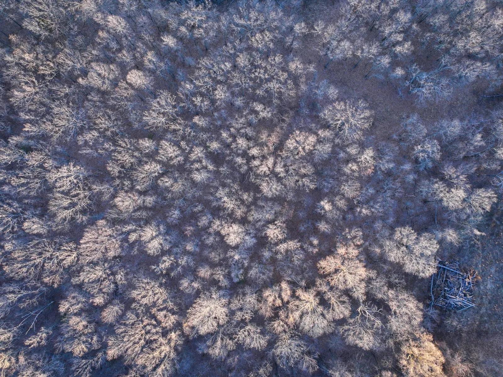 89848033-29