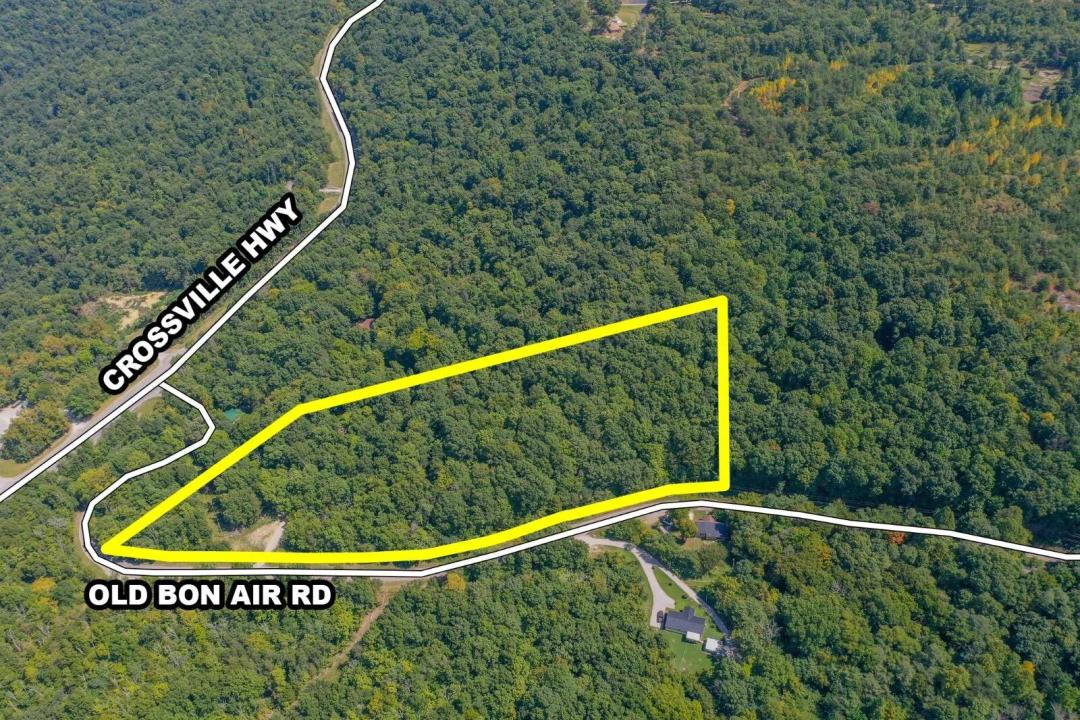 Online Absolute Auction 8.49 Ac± Wooded Tract
