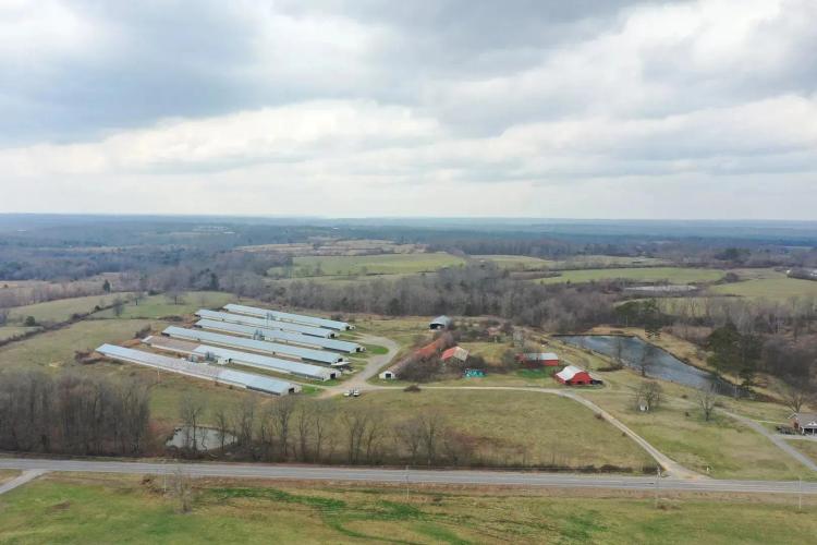 Flat Rock Farm