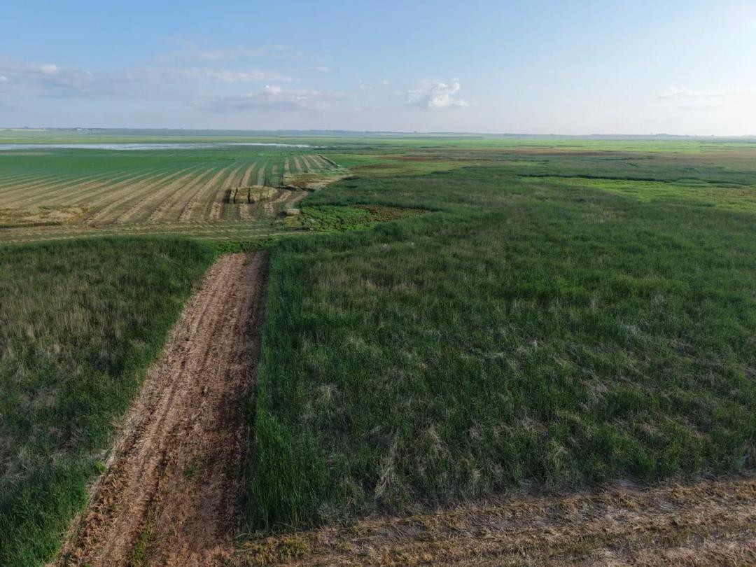 Walworth County, SD 80 Acres