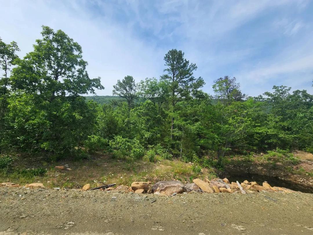 20+/- Buffalo Mountain Woods