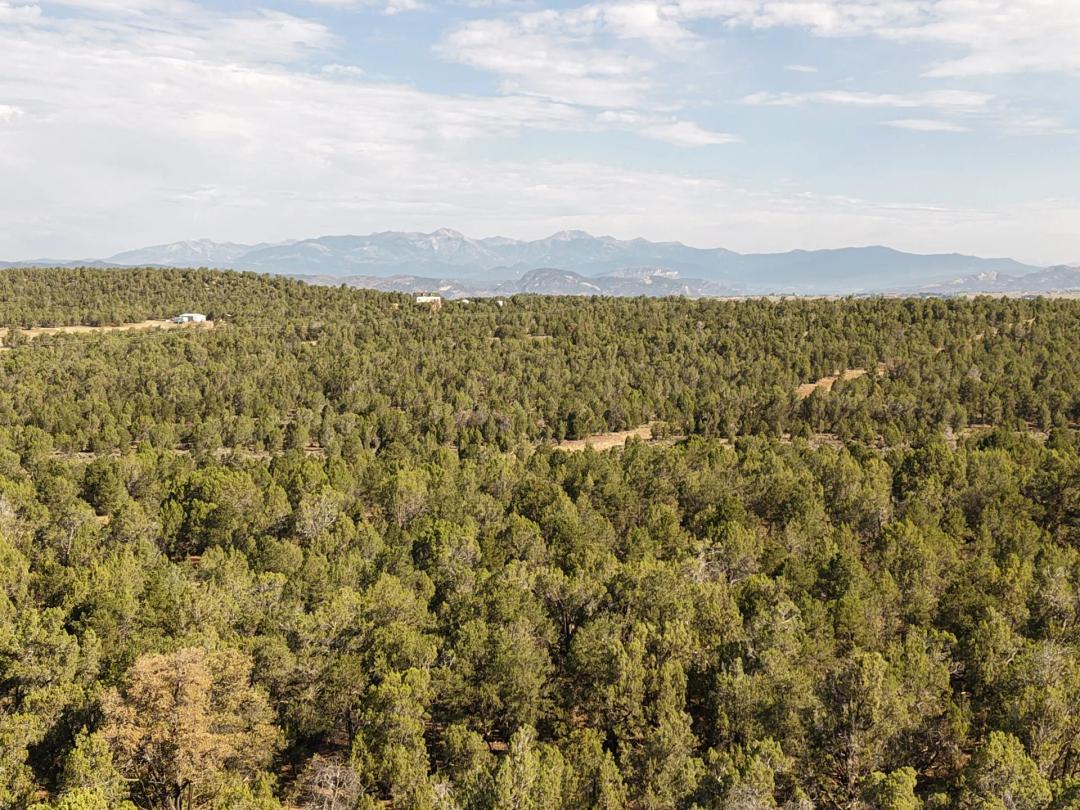 Jackrabbit Ranch