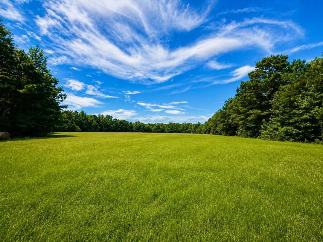 110± Acres | Hunting Land, Timber & Hay Meadow | Manchester Community | East Clark County, Arkansas