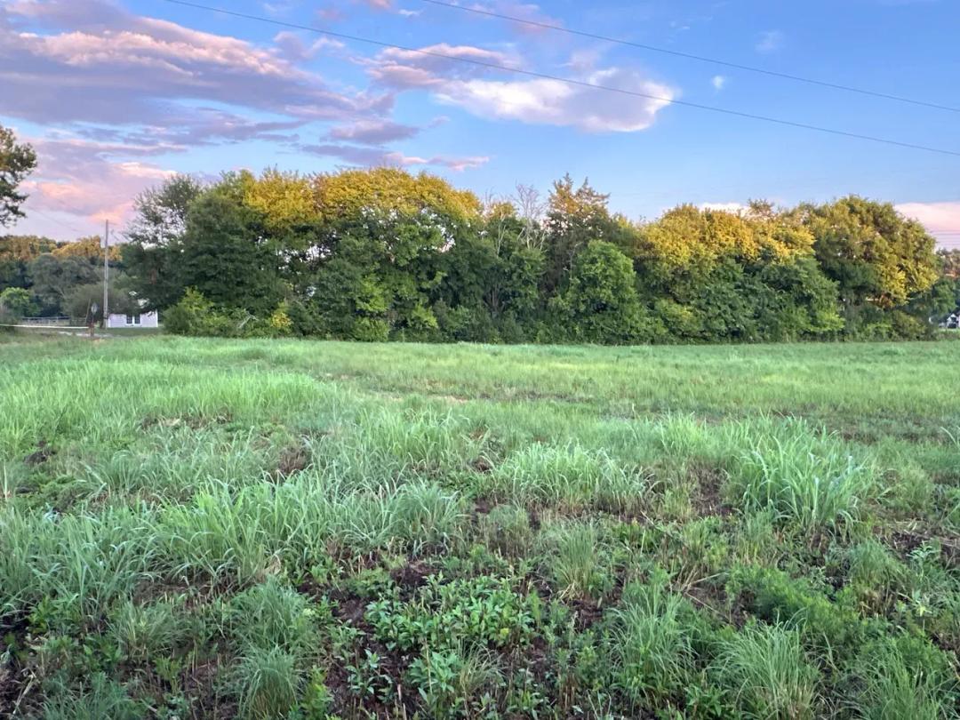 4 acres Popham Road