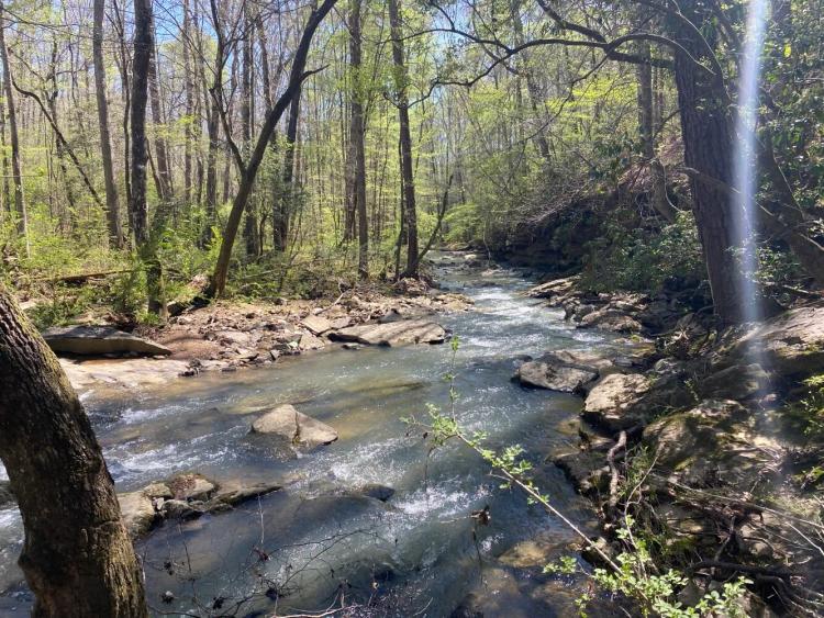 12.89 Acres at 391 Co Rd 1171