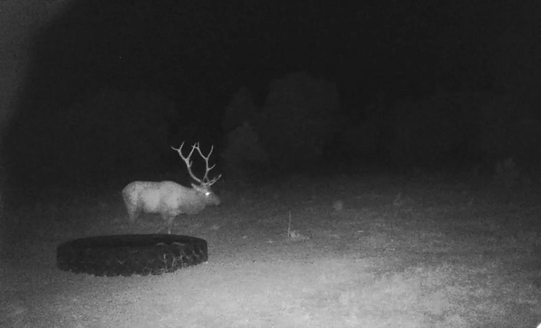North Rim Hunting Ranch