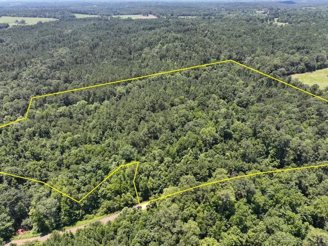 27 Acres | T-2 | Lick Skillet Road | 1019