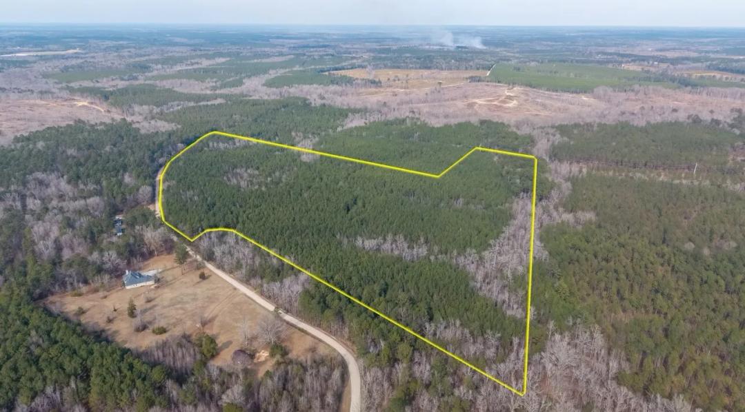 55.00 Acres at 0 Saint Mary's Road