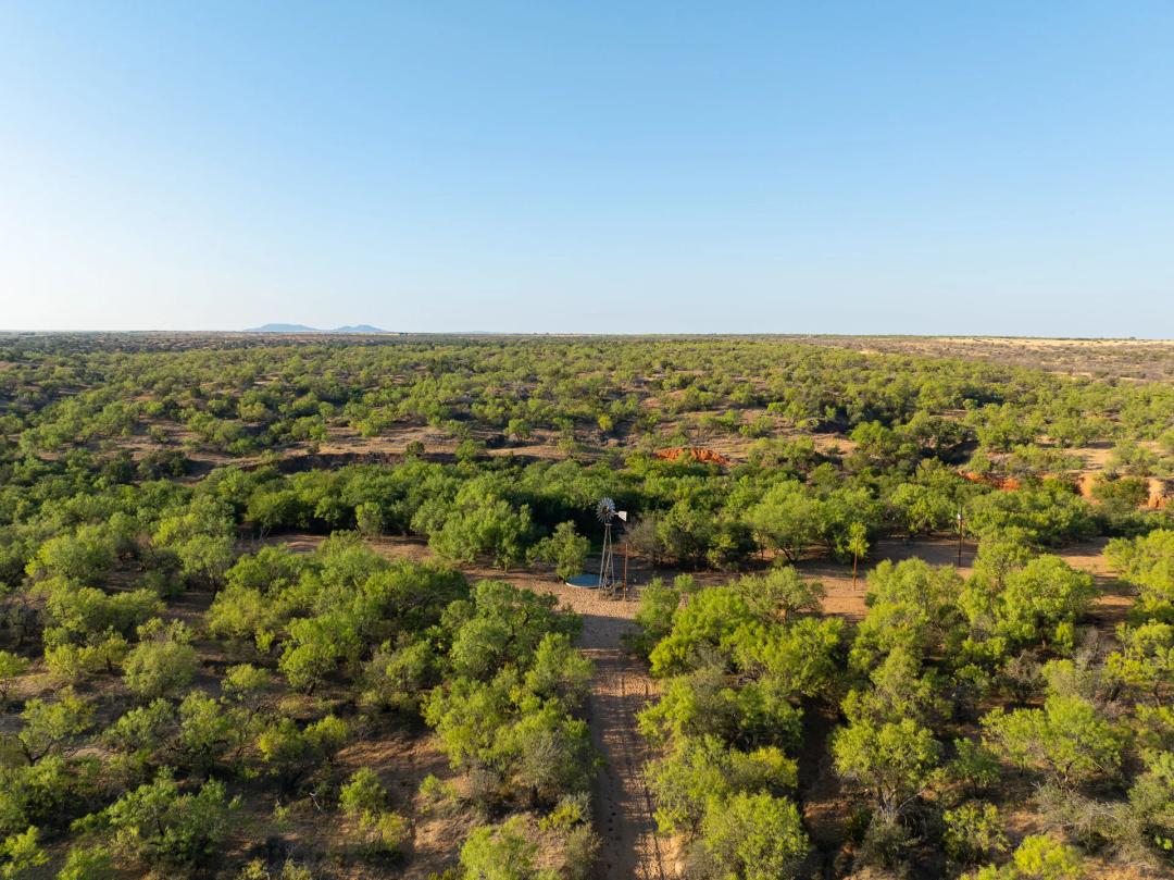 Turnaround Ranch