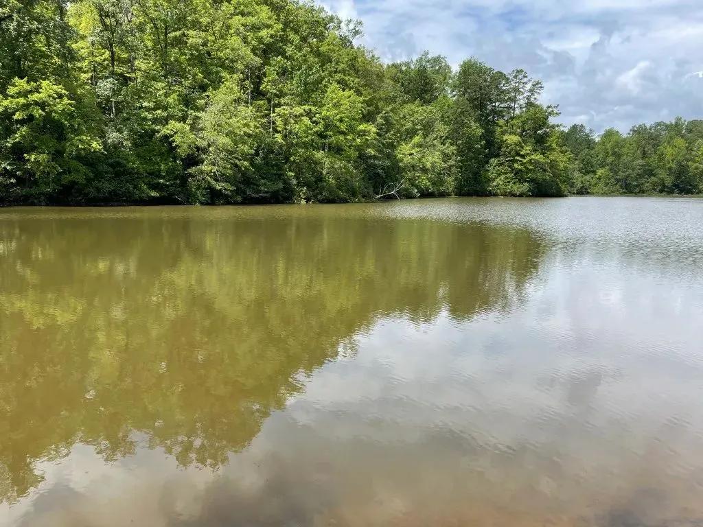 +/- 31.25 Acres Tract 3 on Easy Street in Salem, SC