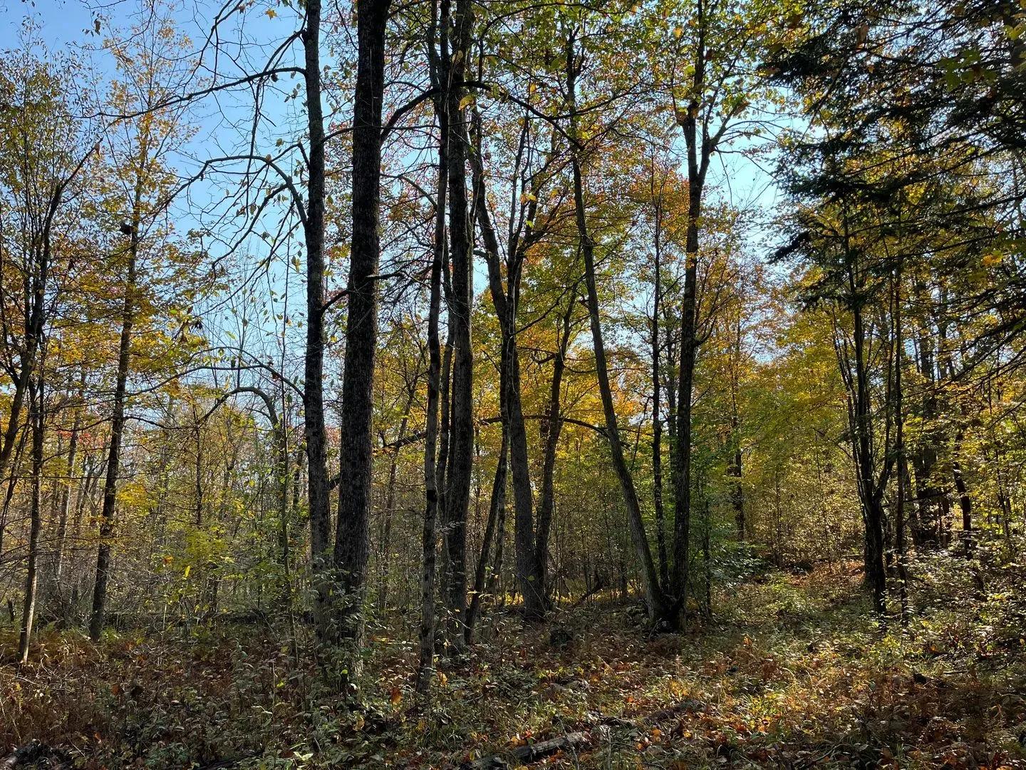 90109642-10