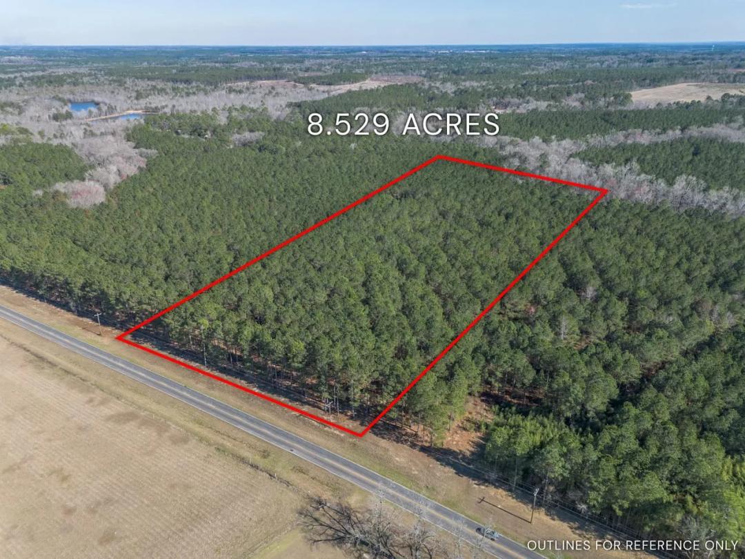 Lot 2 Hambrick - 8.53 Acres in Eastman, Dodge GA