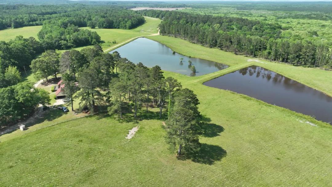 900 Acres in Smuteye