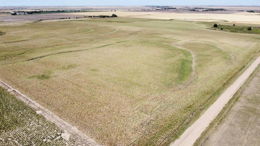 Ness County Farm Land