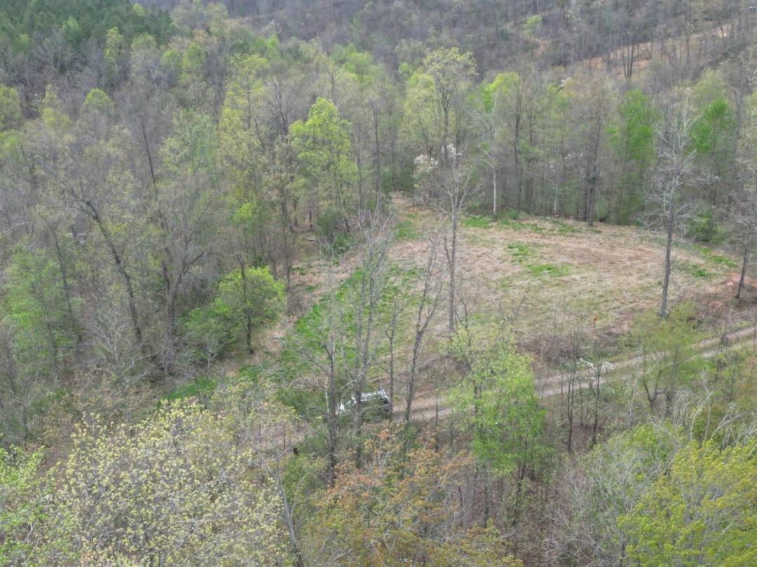 000 Hard Rock Ridge, Elizabeth, WV 26143 (55 +/- Acres) $89,900