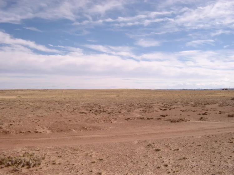 2.5 Acres in NE Arizona Near Petrified Forest National Park