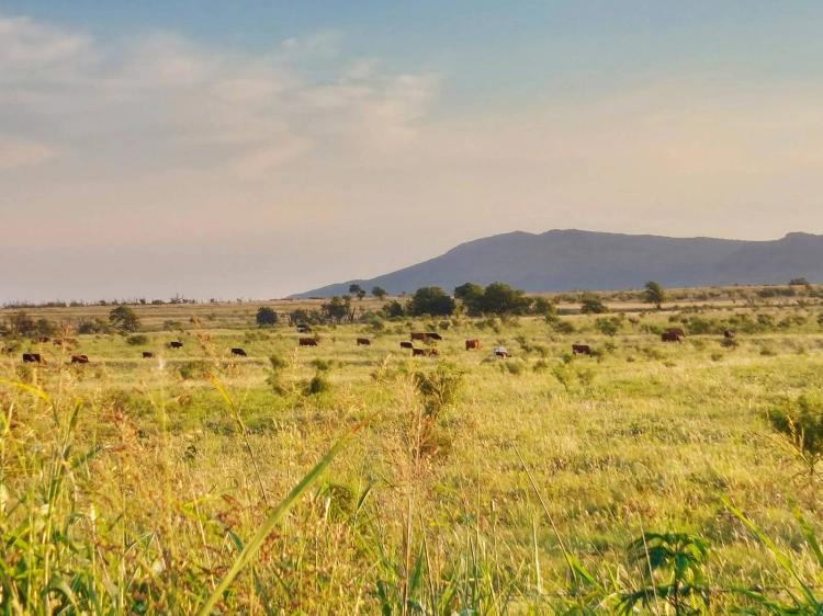 Foothills of the Wichitas
