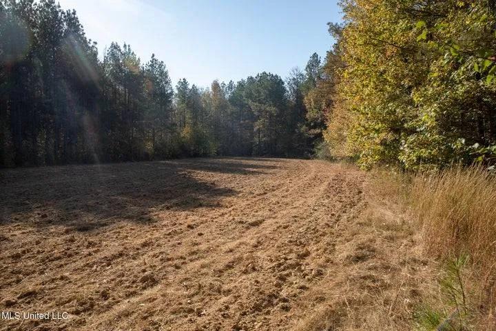 250.00 Acres at 0 Vaughn Road