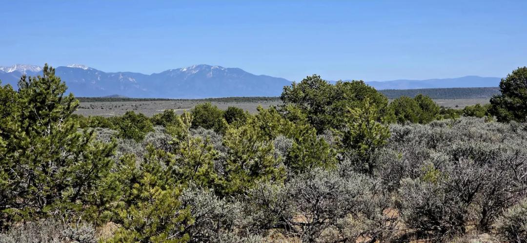 1 Acre Taos County NM - No Restrictions Peace & Quiet