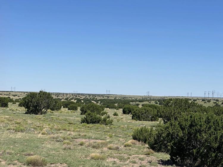 Catron County 198