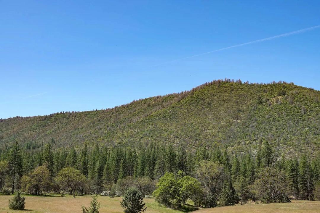 East Road Ragland Gulch Acreage