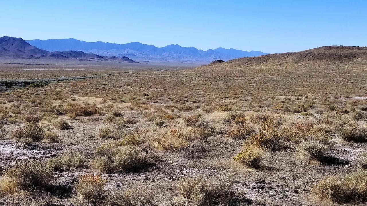 90355908-0