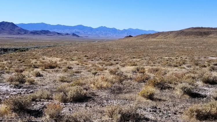 Incredible Views - Paved Road Frontage - Borders BLM - Mobiles, Modulars, Site-builds Allowed