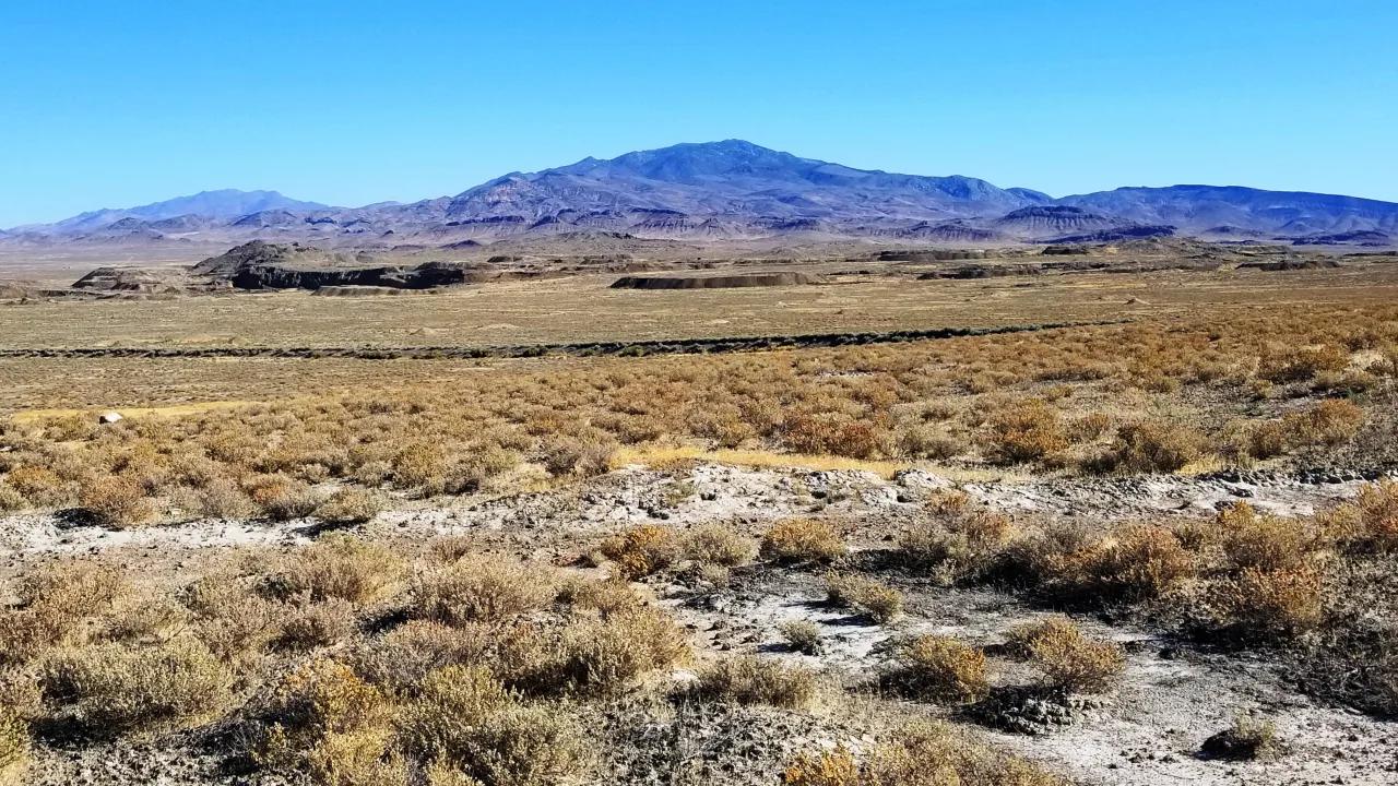 90355908-11