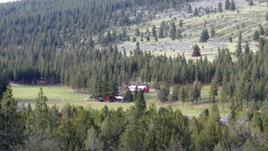 40 acre Forested parcel includes base of the hill and part of the hill - Views Trees