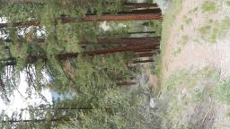 90390740-20
