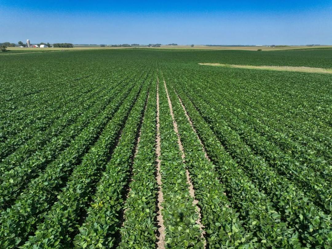 Listing #19652 - 113.78 acres in Palo Alto County, IA