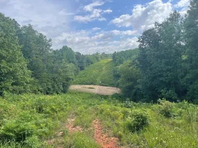 Boguefala Creek Tract