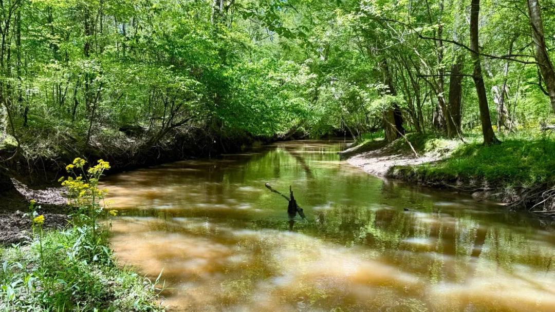 Twin Creeks Bottomland Retreat
