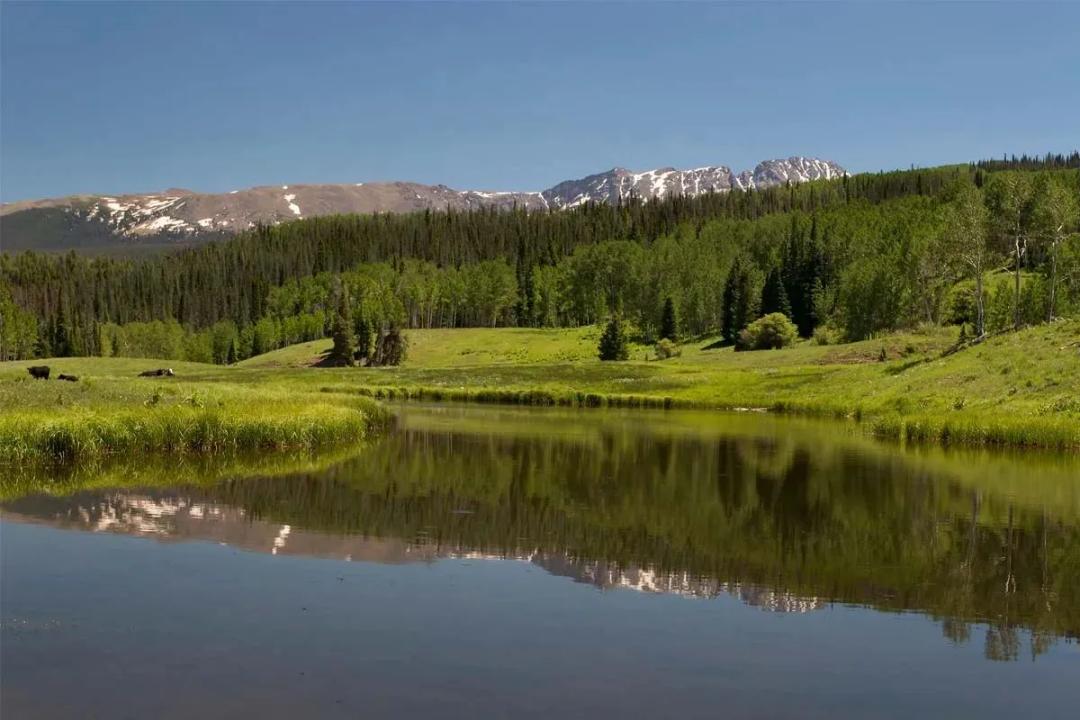 Shadow Creek Ranch – Lot 12