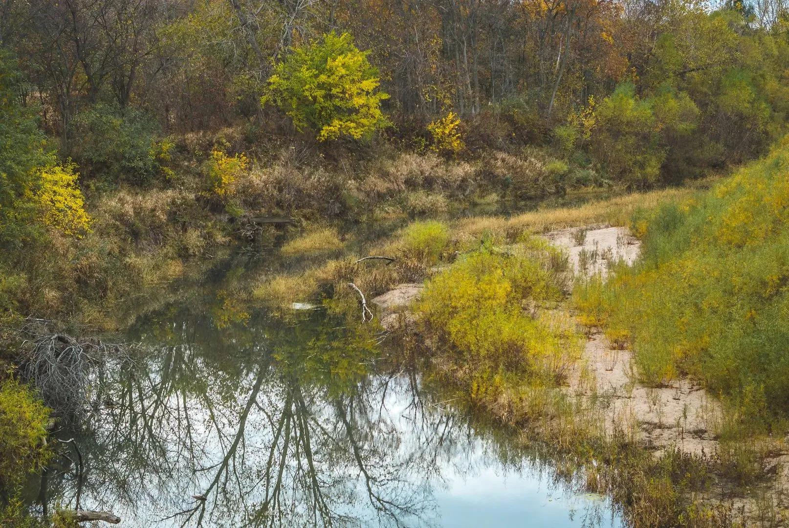 9041194-5