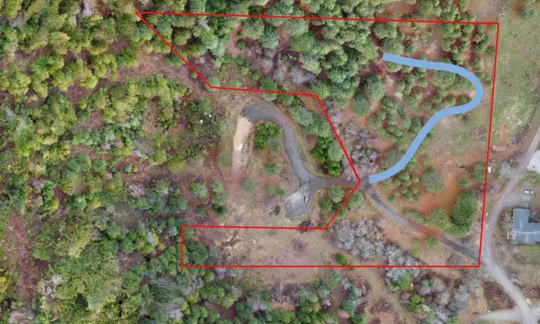 Wooded 5 Acres Close to Town – Peaceful & Private!
