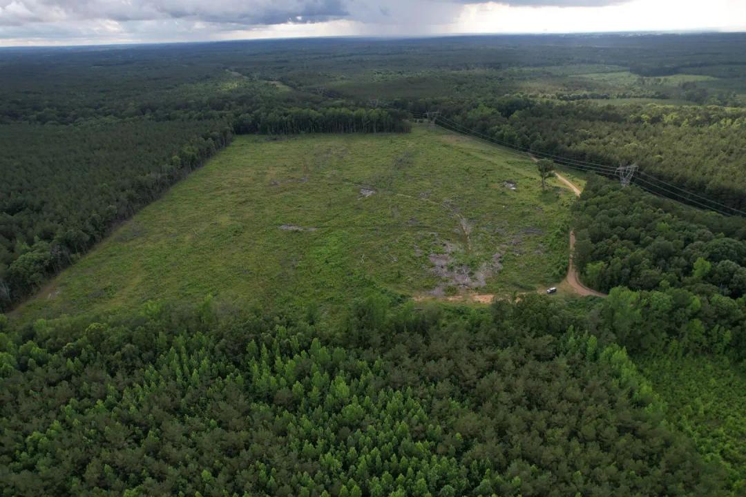 51.5 Acres in Choctaw County, MS