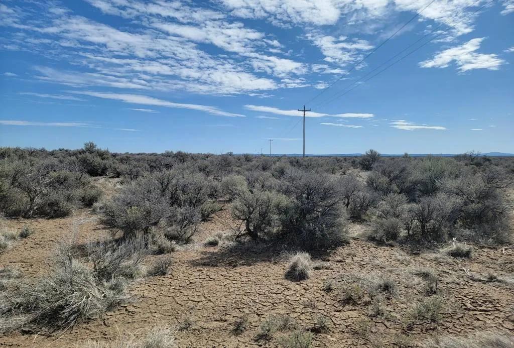 Nice 80 Acres In Christmas Valley