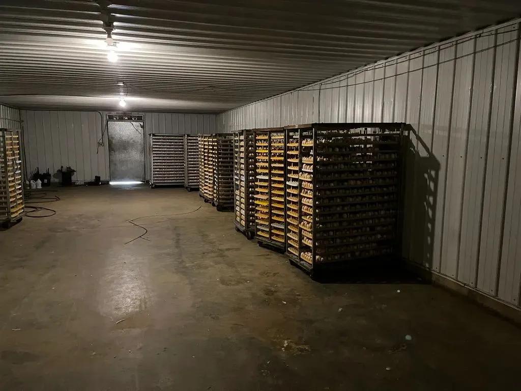 90499560-5
