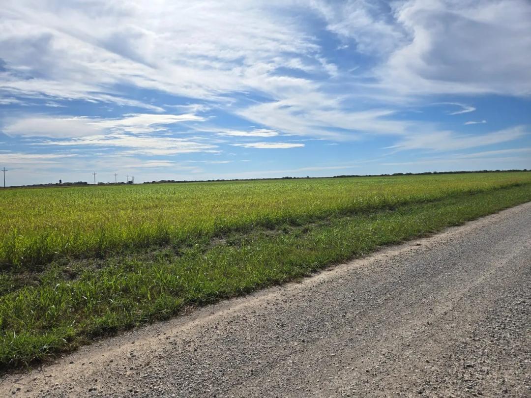 RS# 65402 - TBD Hwy 114, Megargel TX 76370