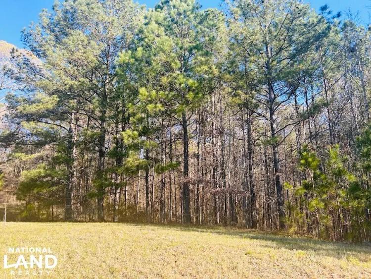 5.00 Acres at 0 Wagers Mill Road