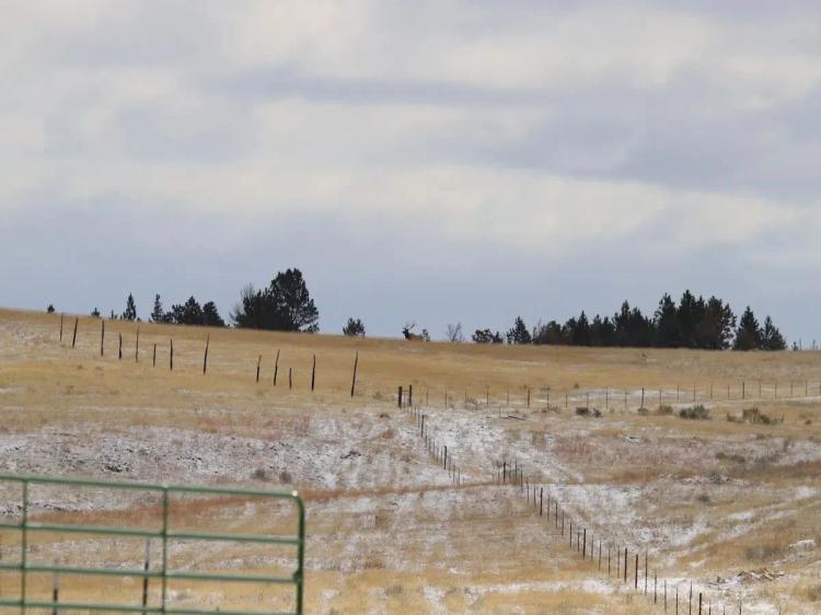 Conley Ranch