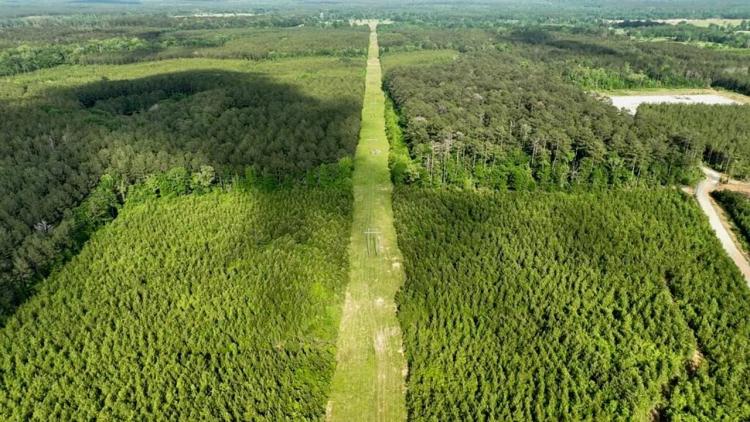 South Mississippi Hunting Paradise for Sale Amite County,MS