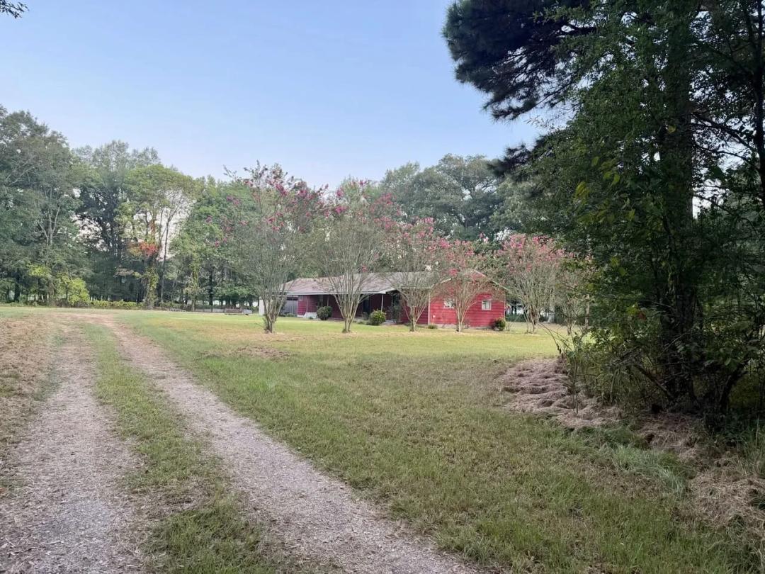 80 Ac Home, Hunting & Cattle Land in Franklin Parish LA
