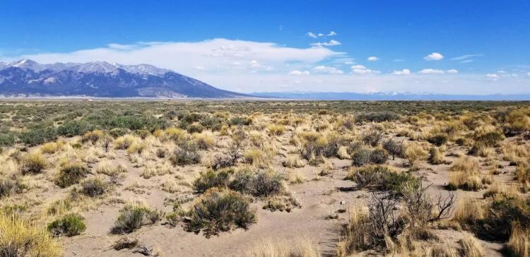 Sange de Cristo Mountain views * 5 acres Alamosa Colorado land