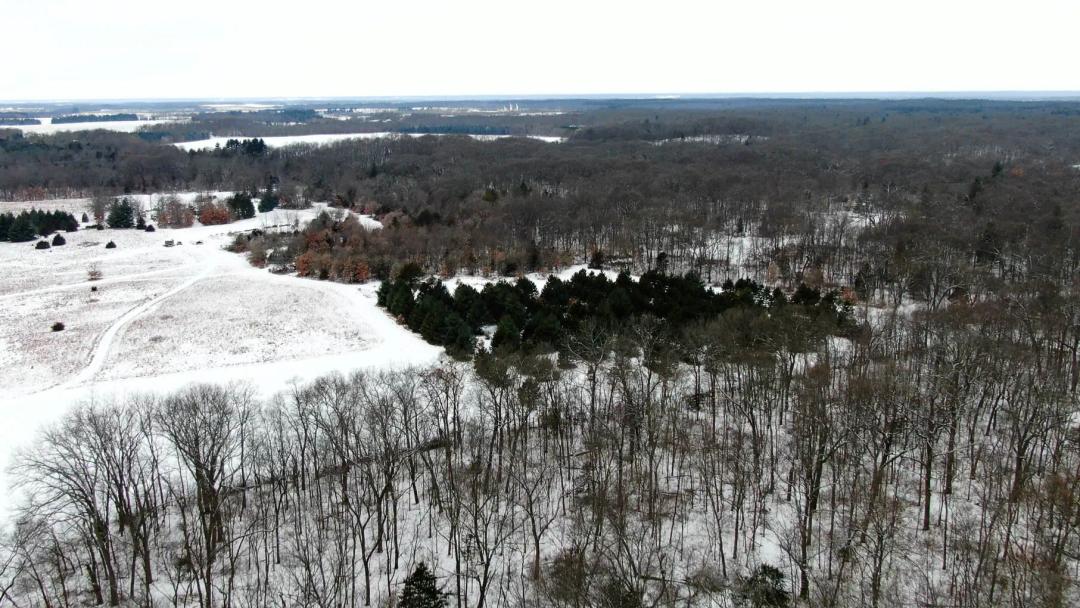 Mason County, Illinois 152 Acres For Sale