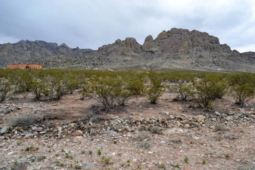 New Mexico Residential Lots - Mobiles Allowed - Near the Base of the Florida Mountains